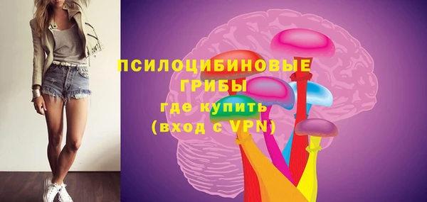 МДПВ Зеленодольск
