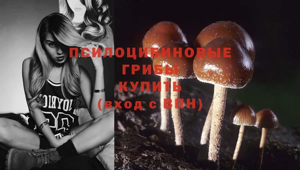 бошки Зерноград